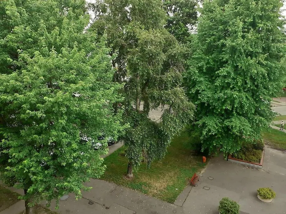 דירות ורשה Kawalerka Stare Bielany